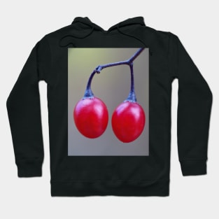 Bittersweet nightshade berries Hoodie